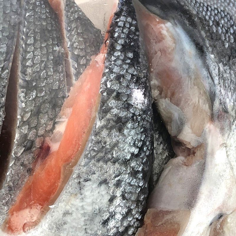 定塩銀鮭切身 甘口 1700g前後 Solted Coho Salmon Portion